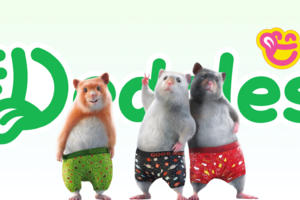 Úspešný príbeh menom Dedoles a ako s ním rastie CMS BUXUS