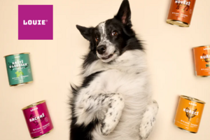Louie Case study: Keď prémiové krmivo stretne prémiovú platformu