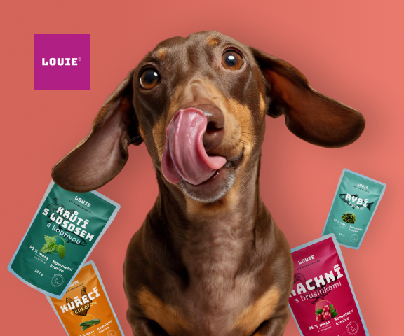 Louie