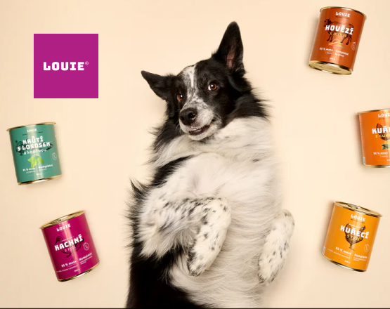 Louie | Case study