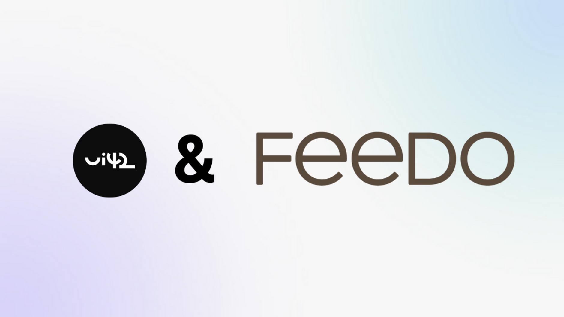 Feedo Case Study • Vplyv rýchlosti webu na konverzný pomer • ui42.sk