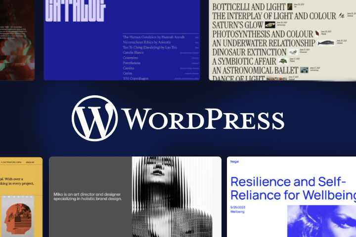 Web na WordPresse